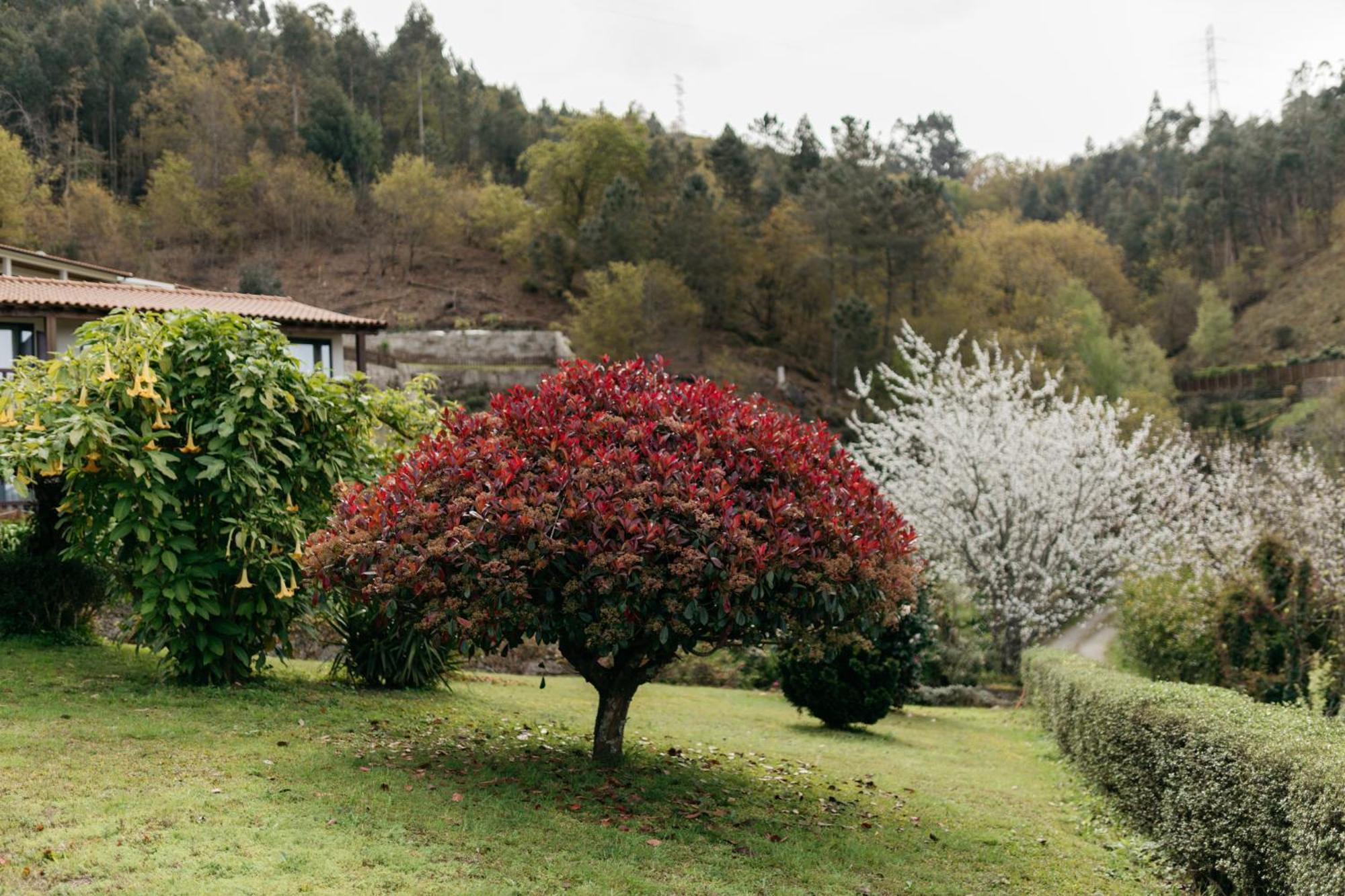 Quinta Do Bento Hotel Vieira do Minho Exterior photo