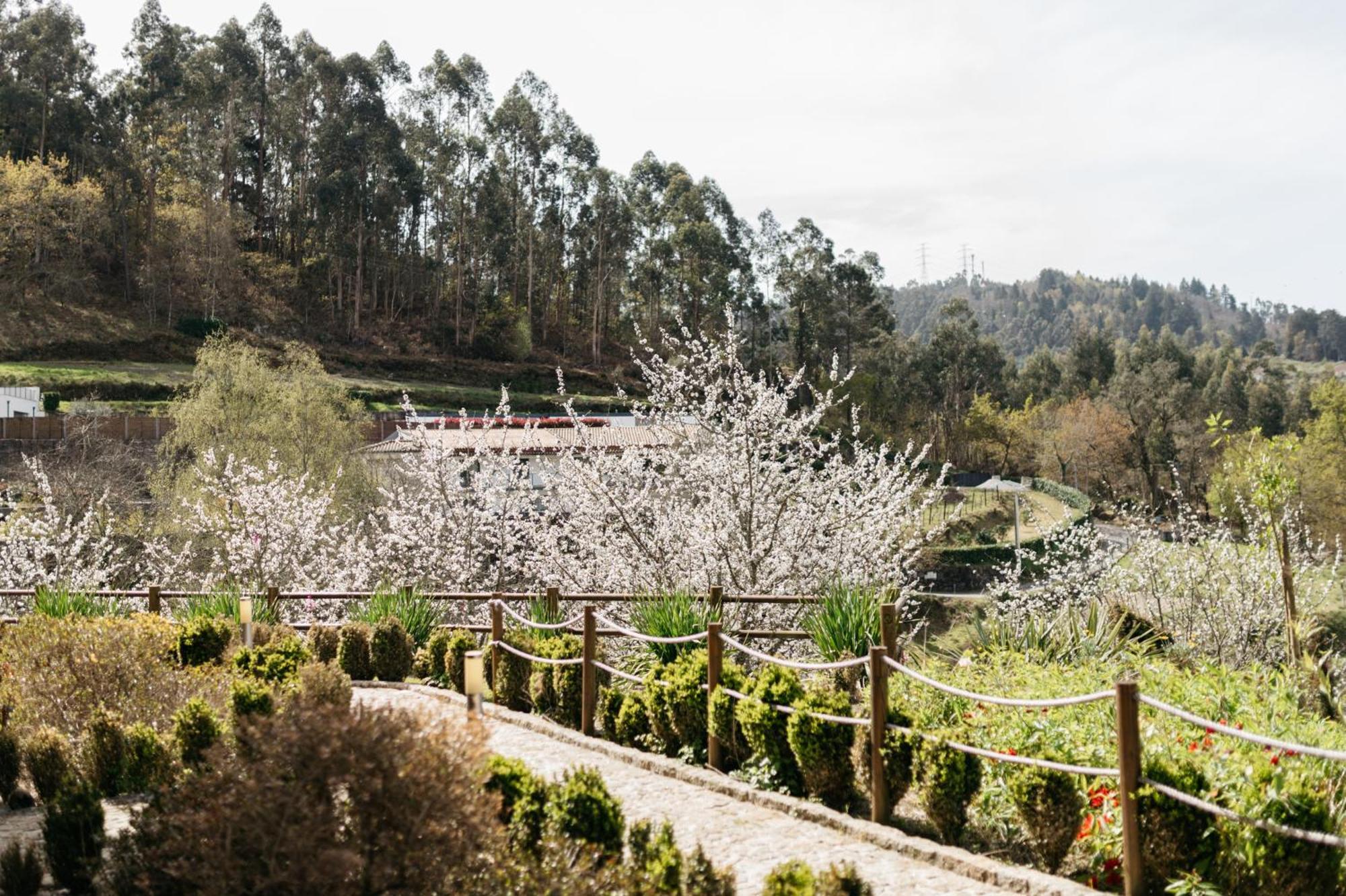 Quinta Do Bento Hotel Vieira do Minho Exterior photo